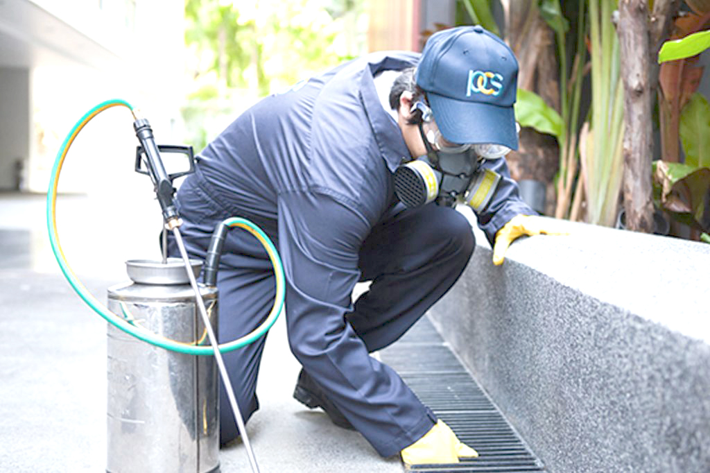 ICM Schädlingsbekämpfung Wien